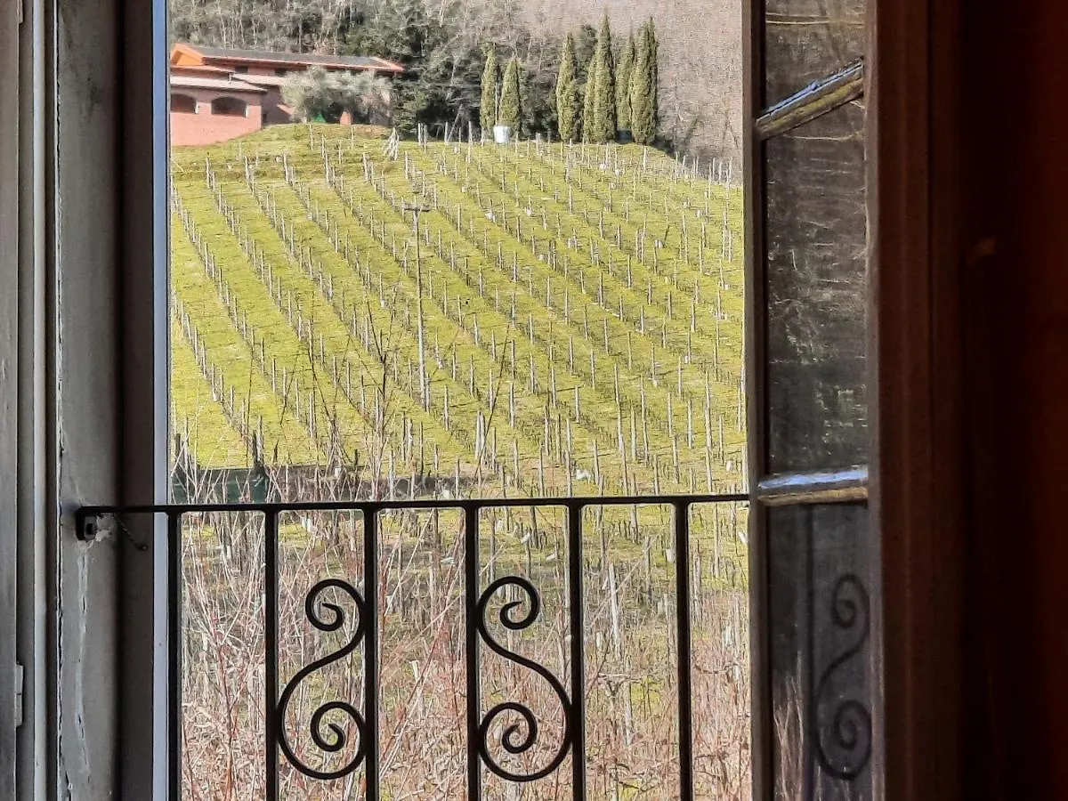 Agriturismo Tenuta Adamo Лукка Апартаменты