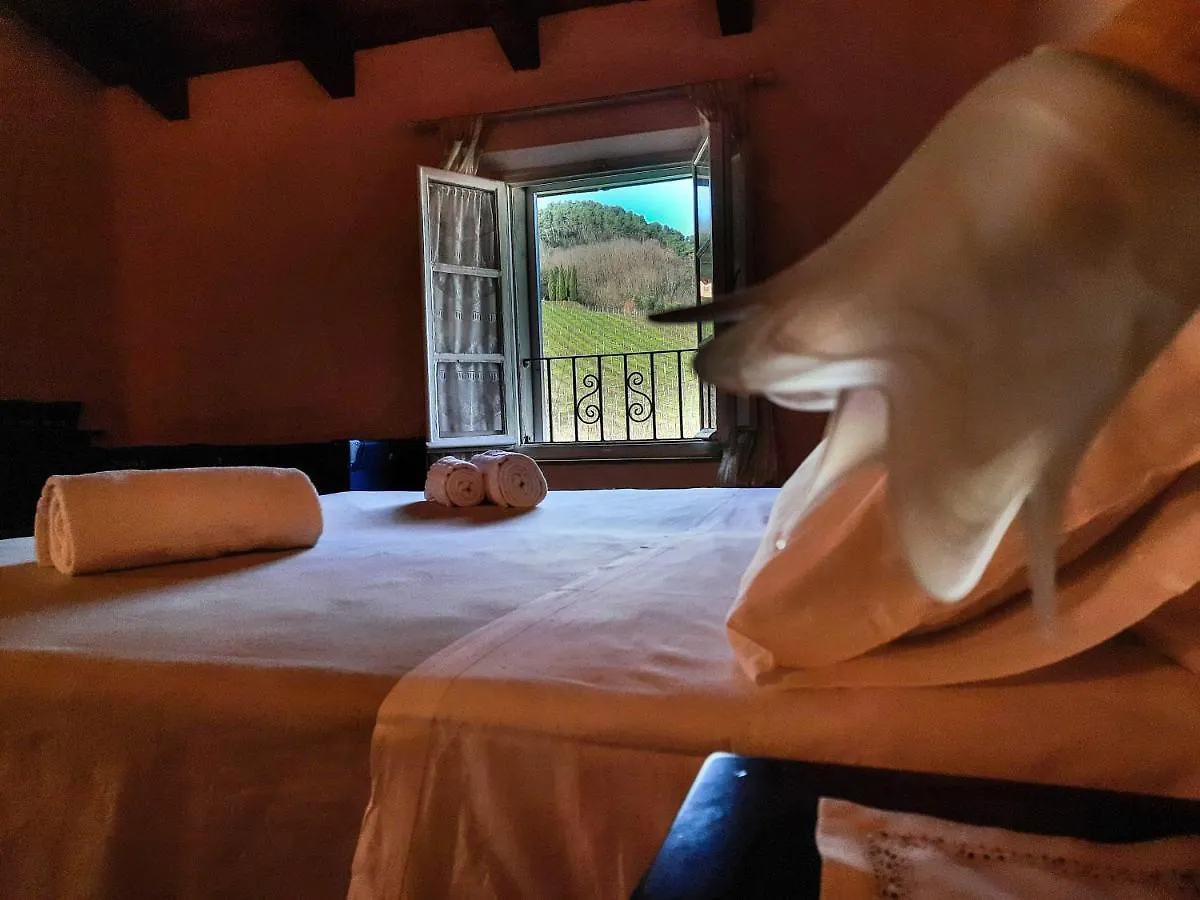 Agriturismo Tenuta Adamo Lucca Italy